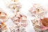 pink and white murex seashell